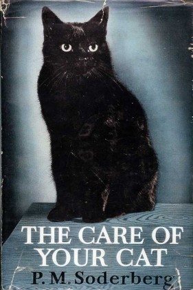 The Care of Your Cat