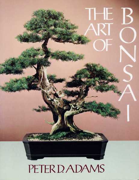 The Art of Bonsai