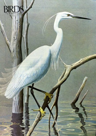 Birds : RSPB Magazine Mar - Apr 1974 : Volume …