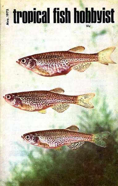 Tropical Fish Hobbyist - May 1972