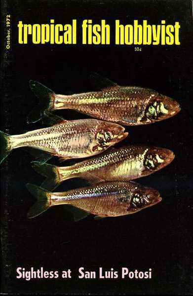 Tropical Fish Hobbyist - October 1972