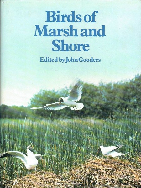 Birds of Marsh and Shore