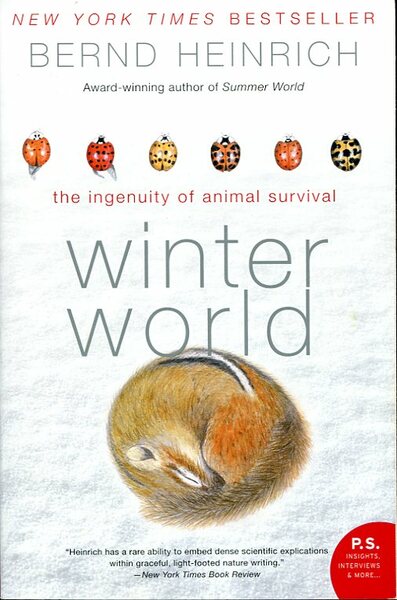 Winter World: The Ingenuity of Animal Survival