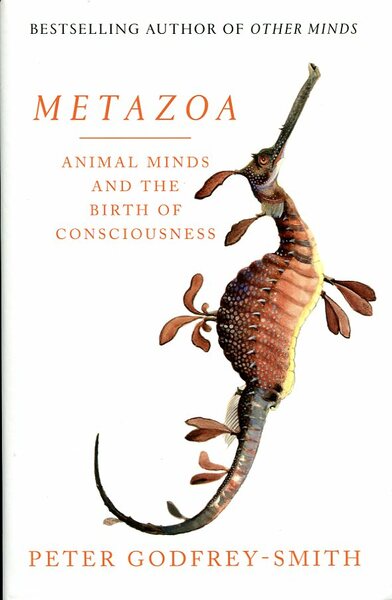 Metazoa : Animal Minds and the Birth of Consciousness