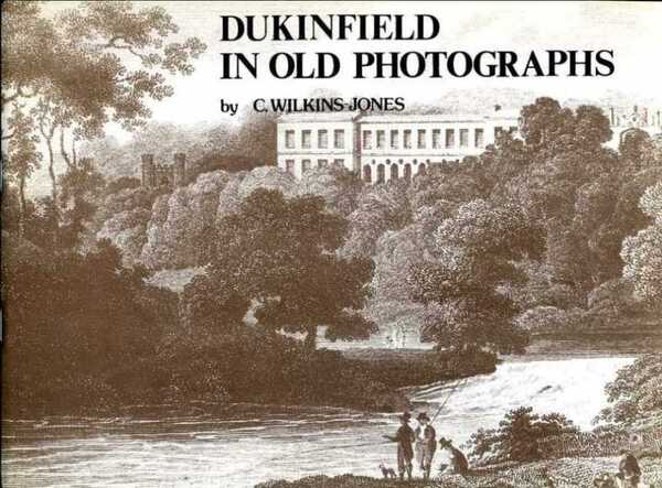 Dukinfield in Old Photographs