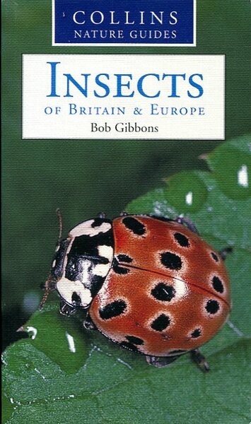 Insects of Britain & Europe