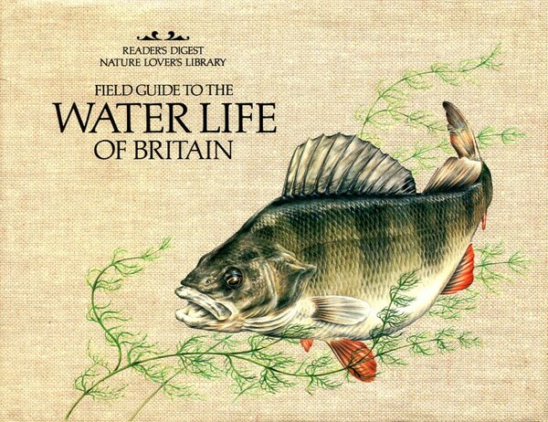 Field Guide to the Water Life of Britain