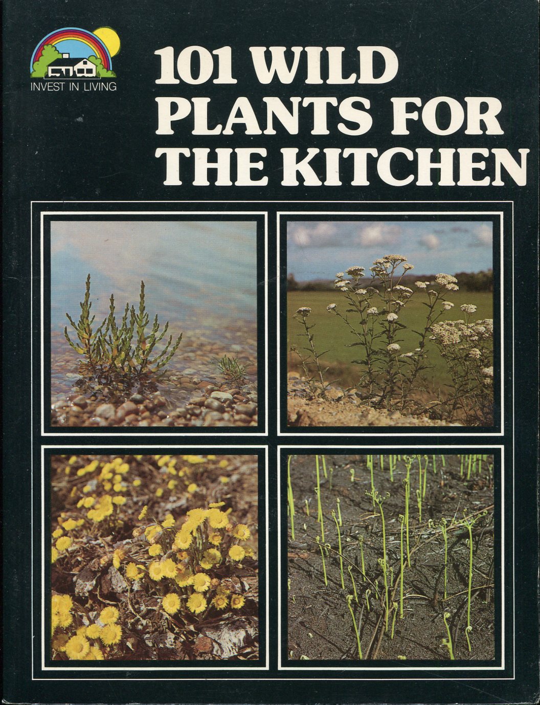 101 Wild Plants for the Kitchen