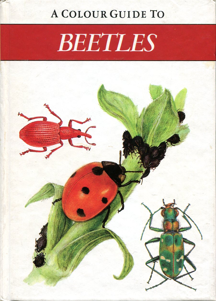 A Colour Guide to Beetles