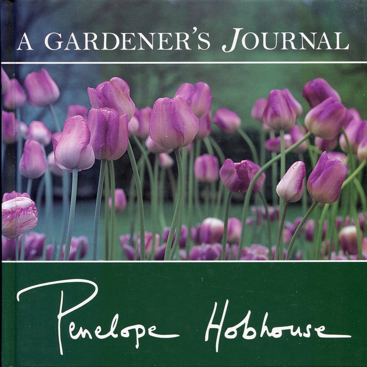 A Gardener's Journal