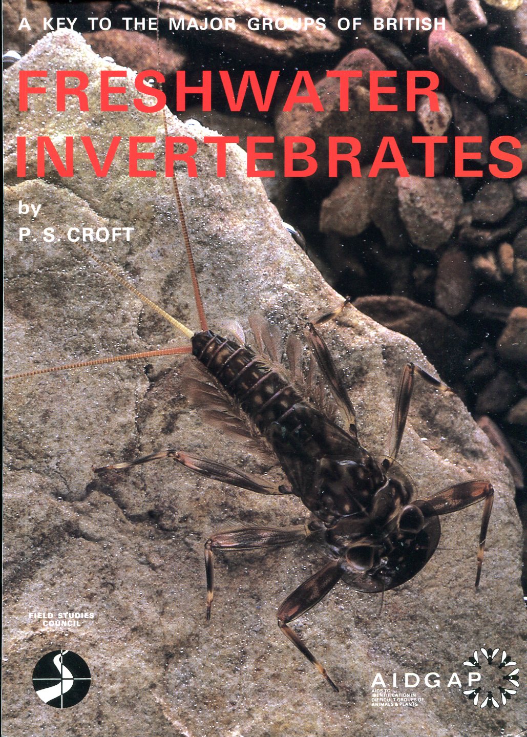 A Key to the Major Groups of British Freshwater Invertebrates.
