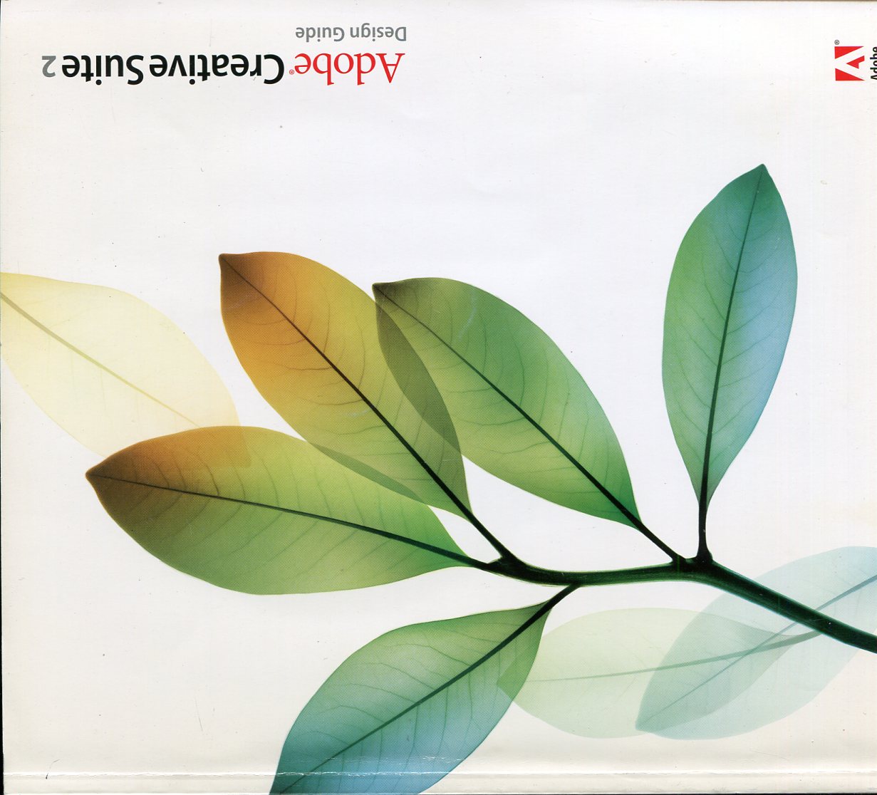 Adobe Creative Suite 2 : Design Guide