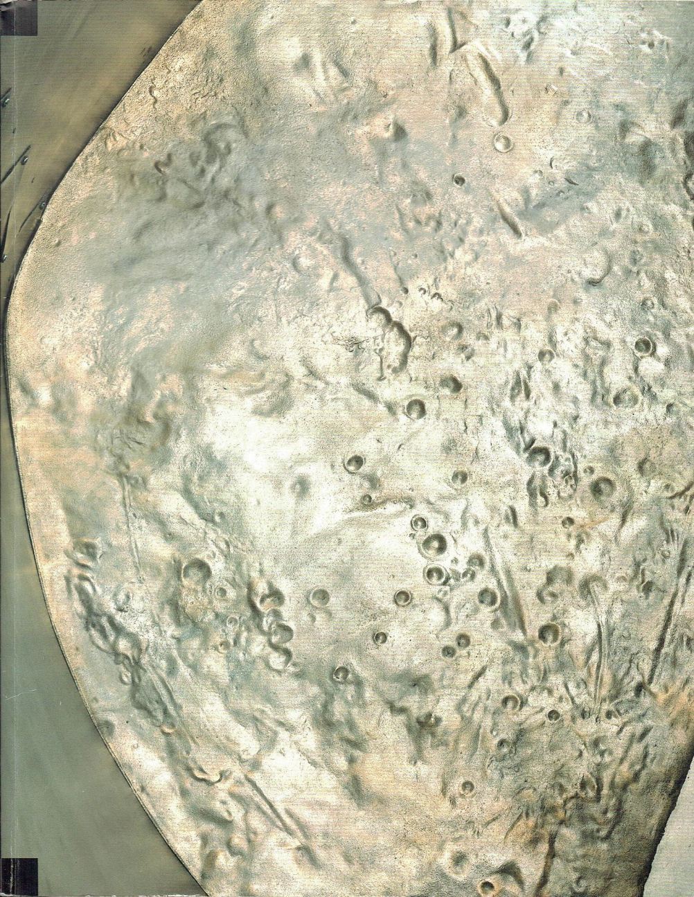 Alison Wilding: Immersion/Exposure