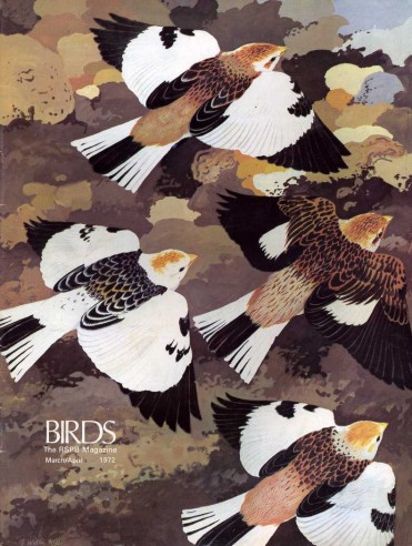 Birds : RSPB Magazine Mar - Apr 1972 : Volume …