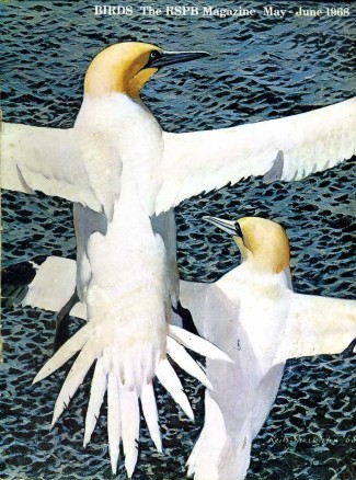 Birds : RSPB Magazine May - Jun 1968 : Volume …