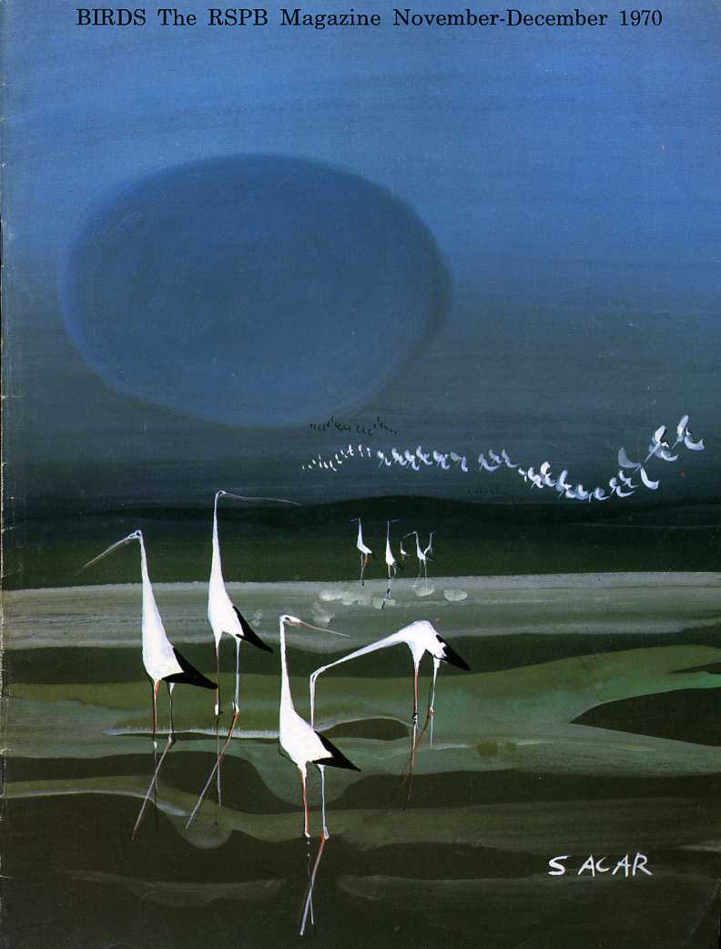 Birds : RSPB Magazine Nov - Dec 1970 : Volume …