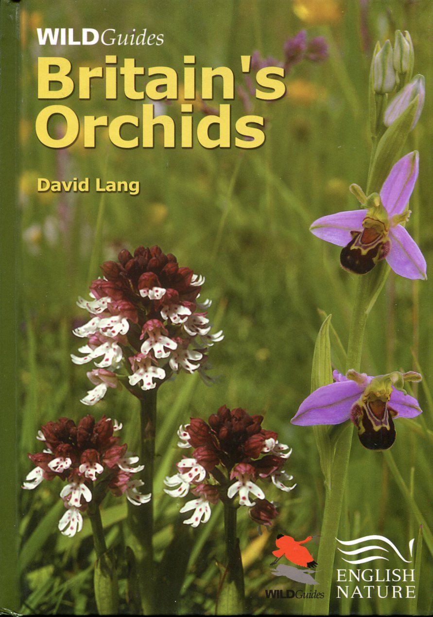 Britain's Orchids : Wild Guides