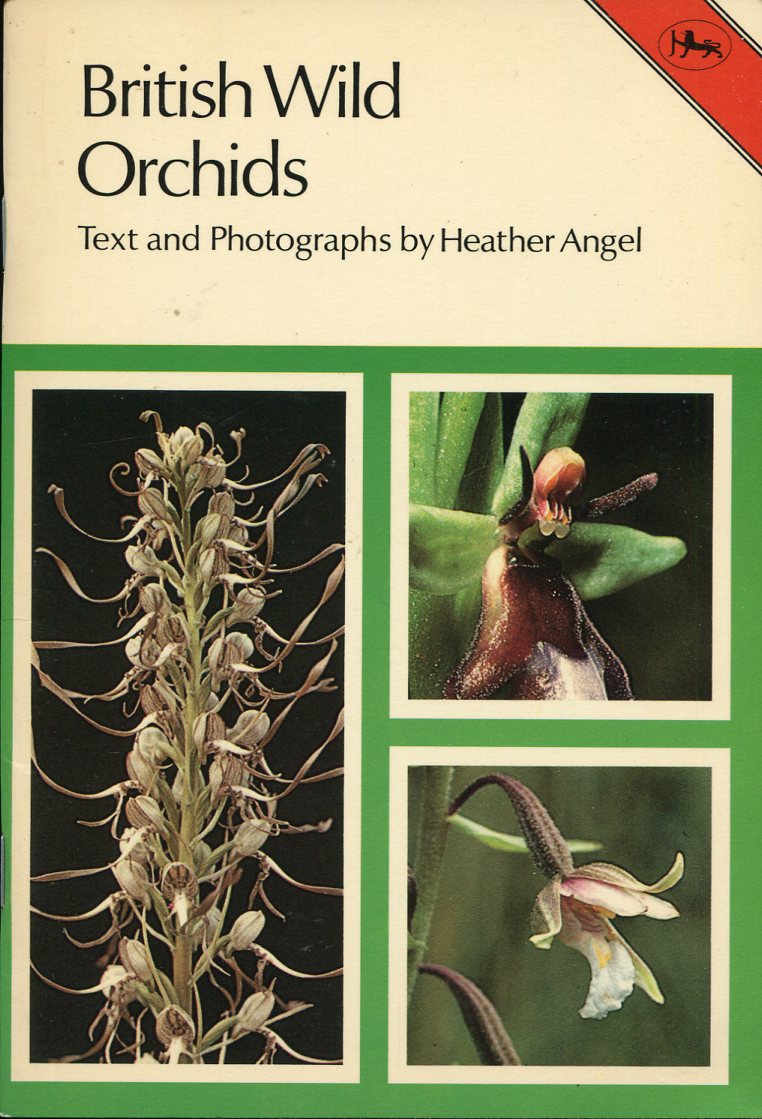 British Wild Orchids