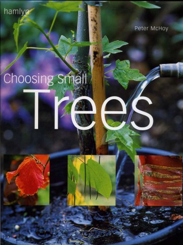 Choosing Small Trees