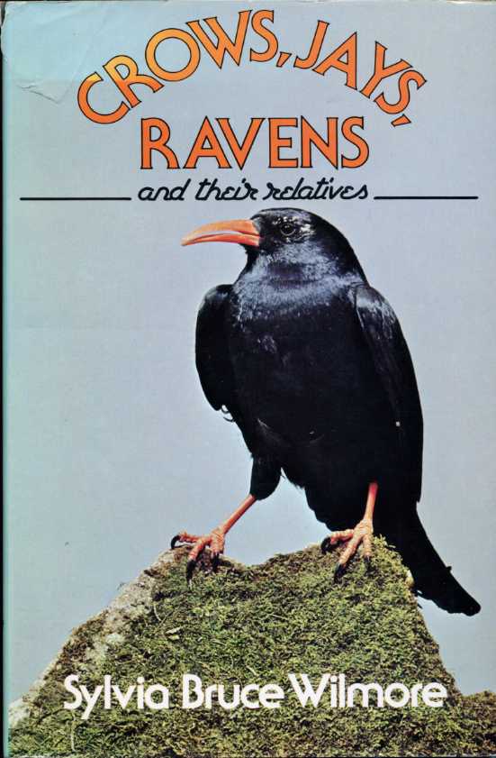 Crows, Jays, Ravens and Their Relatives