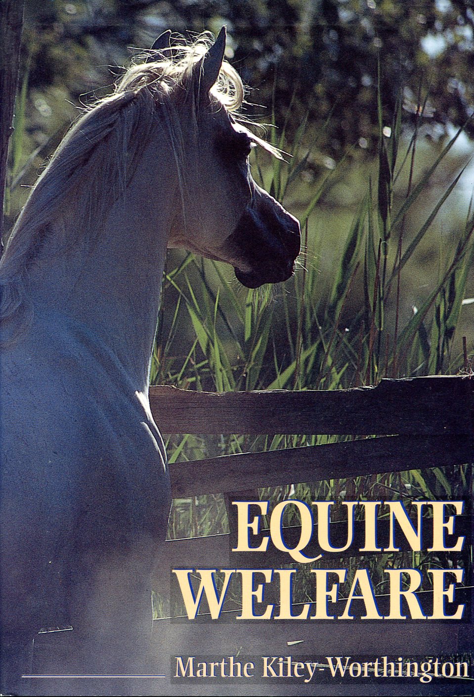Equine Welfare