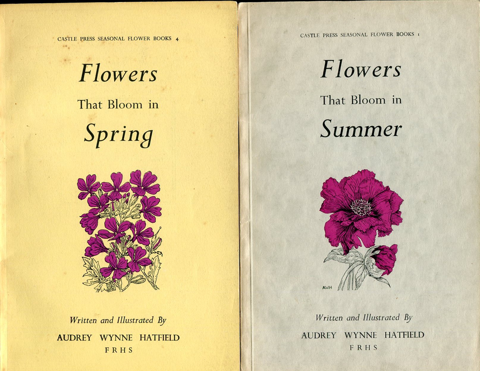 Flowers That Bloom in Summer & Flowers That Bloom in …