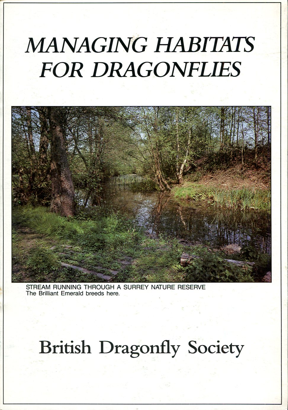 Managing Habitats for Dragonflies