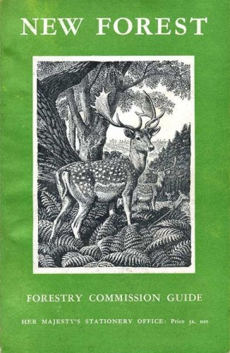New Forest : Forestry Commission Guide