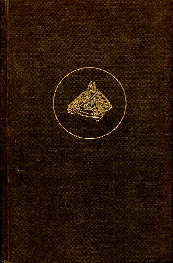 Saddle Up : A Guide to Equitation and Stable Management …