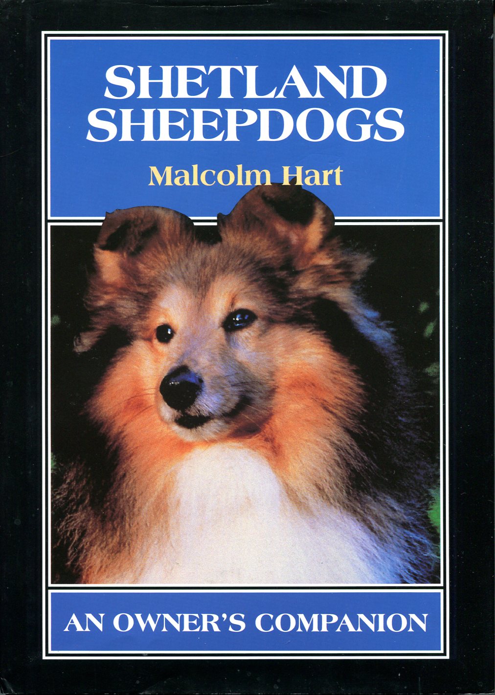 Shetland Sheepdogs: An Owner's Companion