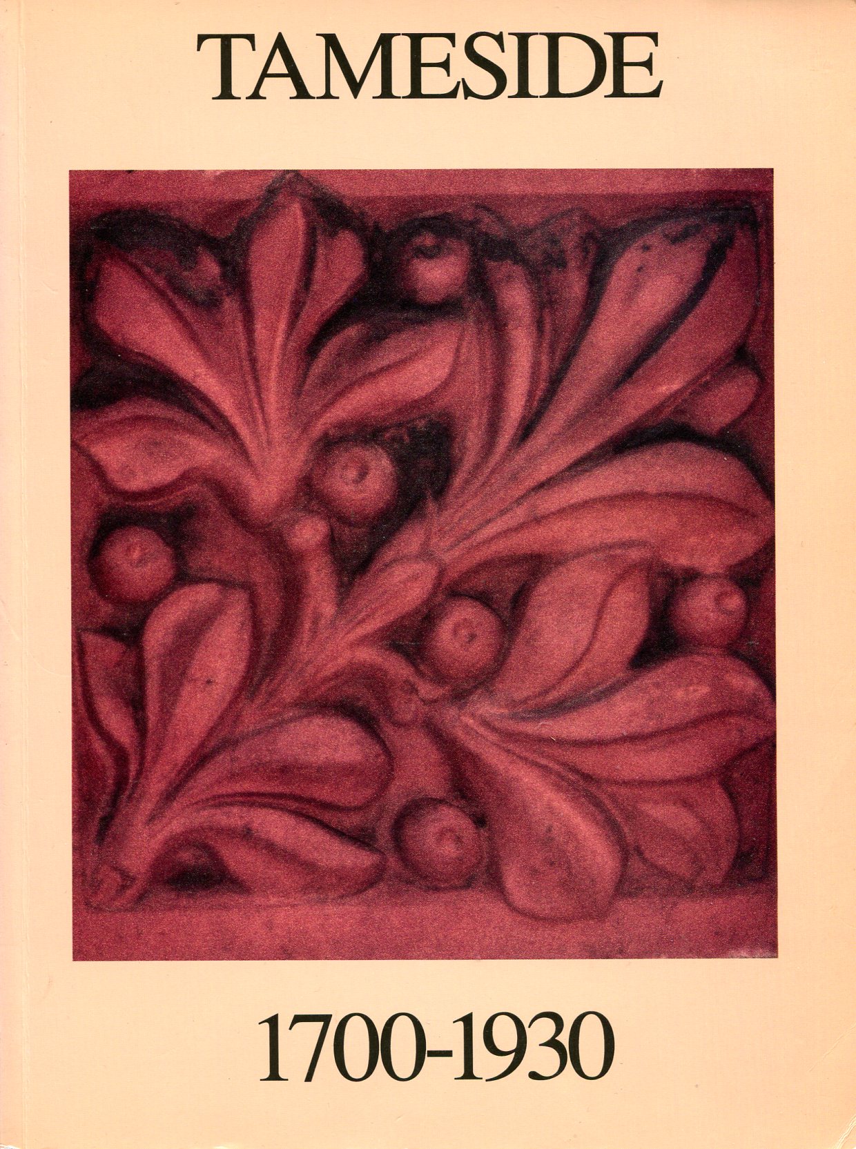 Tameside 1700-1930