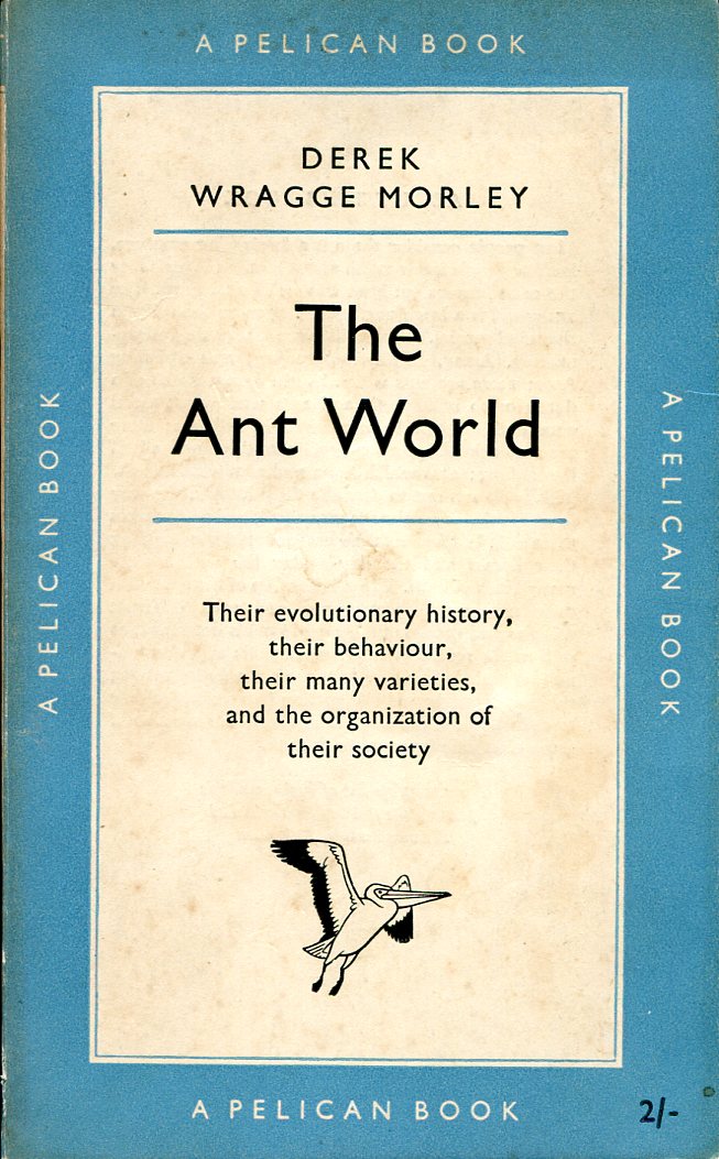 The Ant World