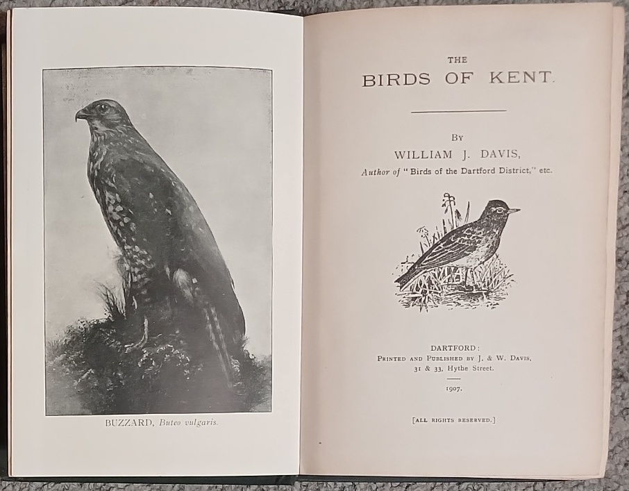 The Birds of Kent