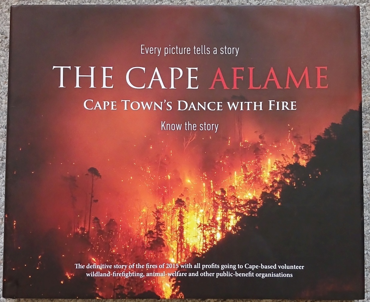 The Cape Aflame : Cape Town's Dance with Fire