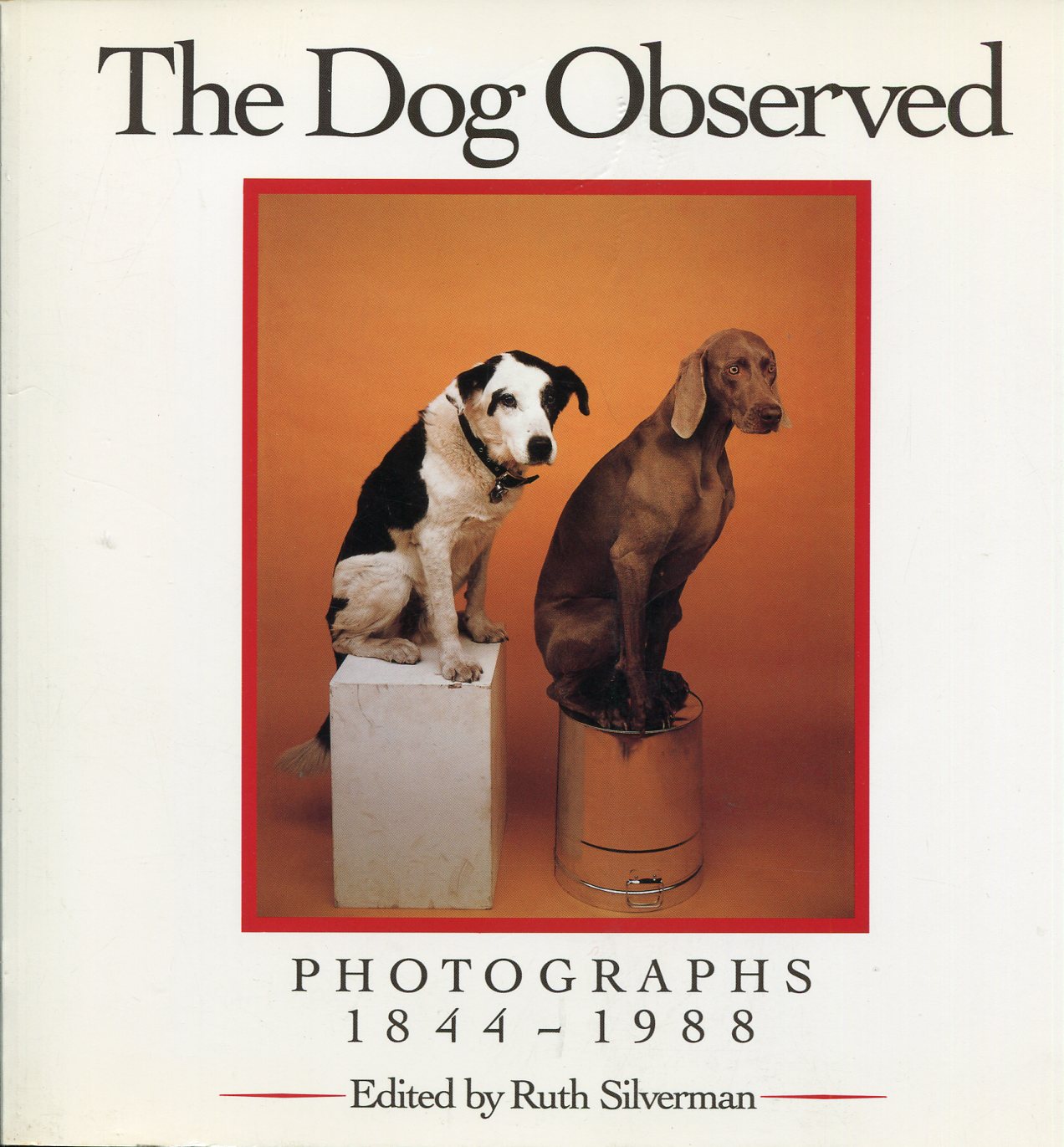 The Dog Observed : Photographs 1844-1988