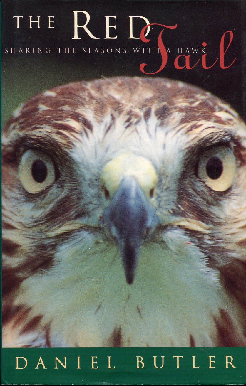 The Red Tail : Sharing the Seasons with a Hawk
