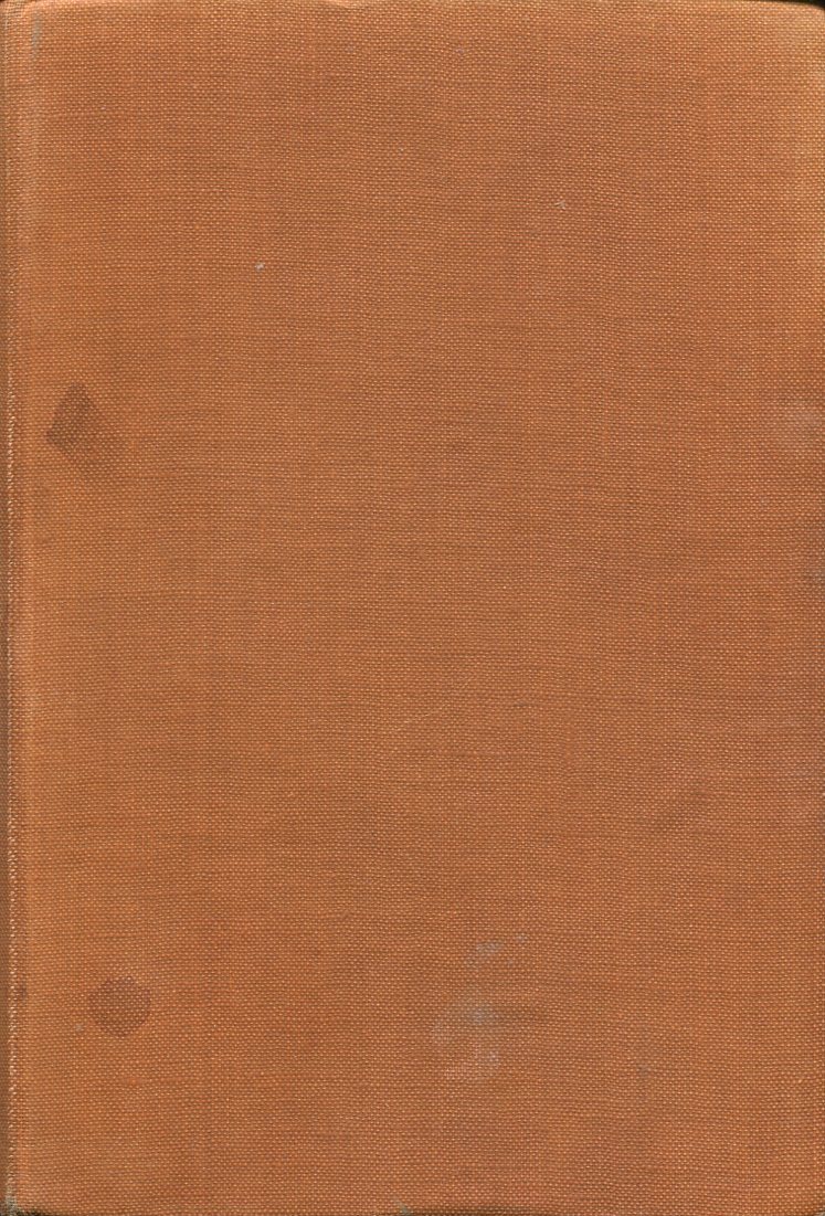 The Spanish Gardener