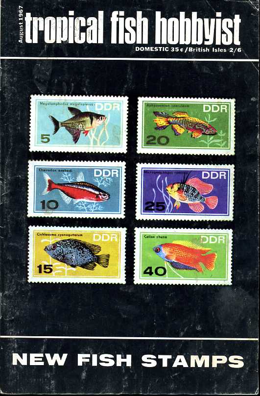Tropical Fish Hobbyist - August 1967