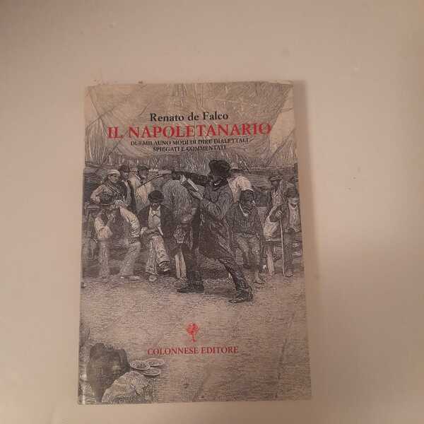 Il napoletanario /duemilauno modi di dire dialettali spiegatie commentati