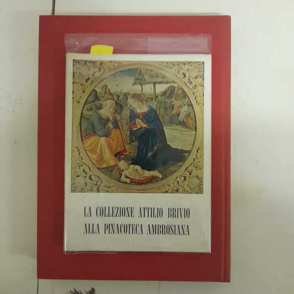 La Collezione Attilio Brivio alla Pinacoteca Ambrosiana