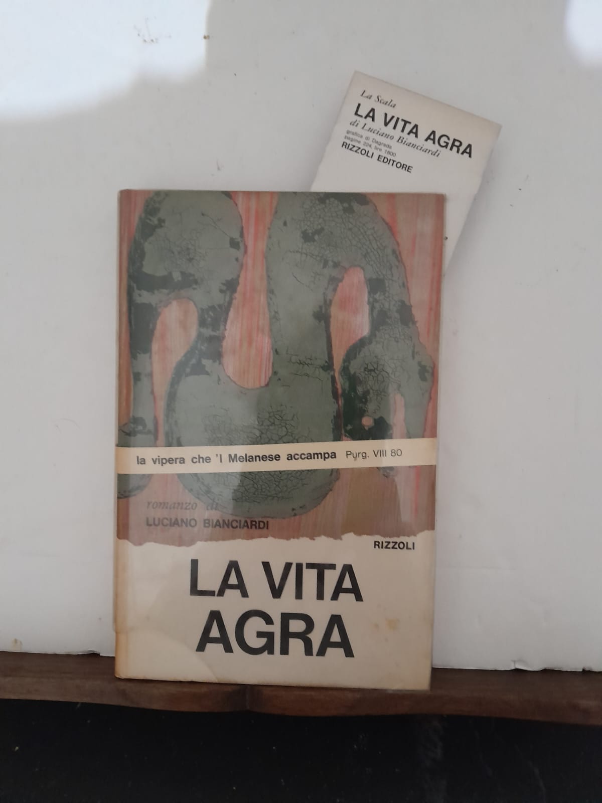 La vita agra