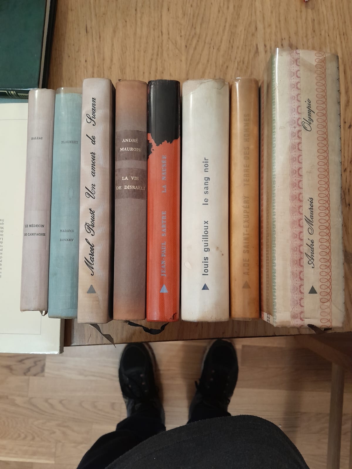 Le medecin de campagne,Madame Bovary,Un amour de Swann,La vie de …