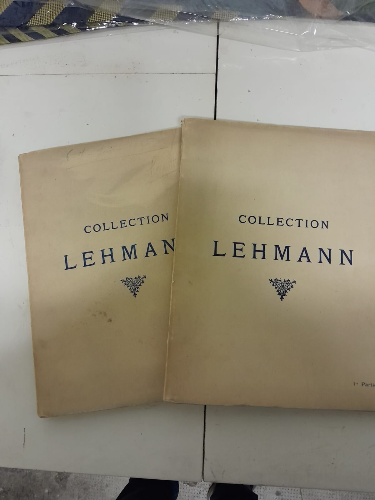 Lehmann Lehmann Collection