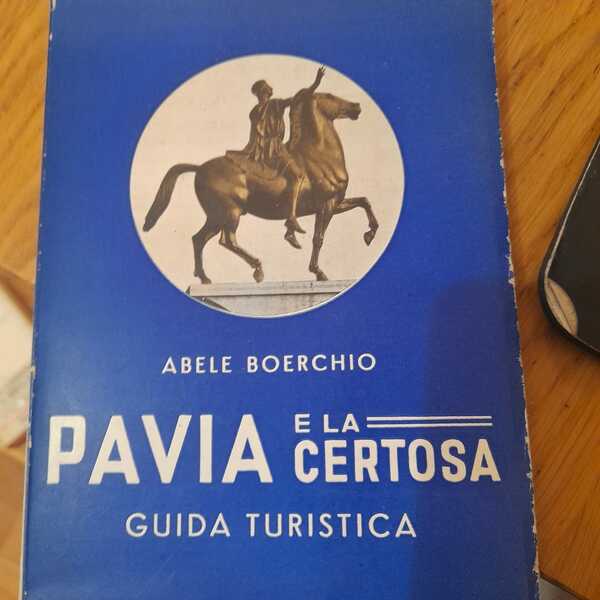 Pavia e la Certosa guida turistica