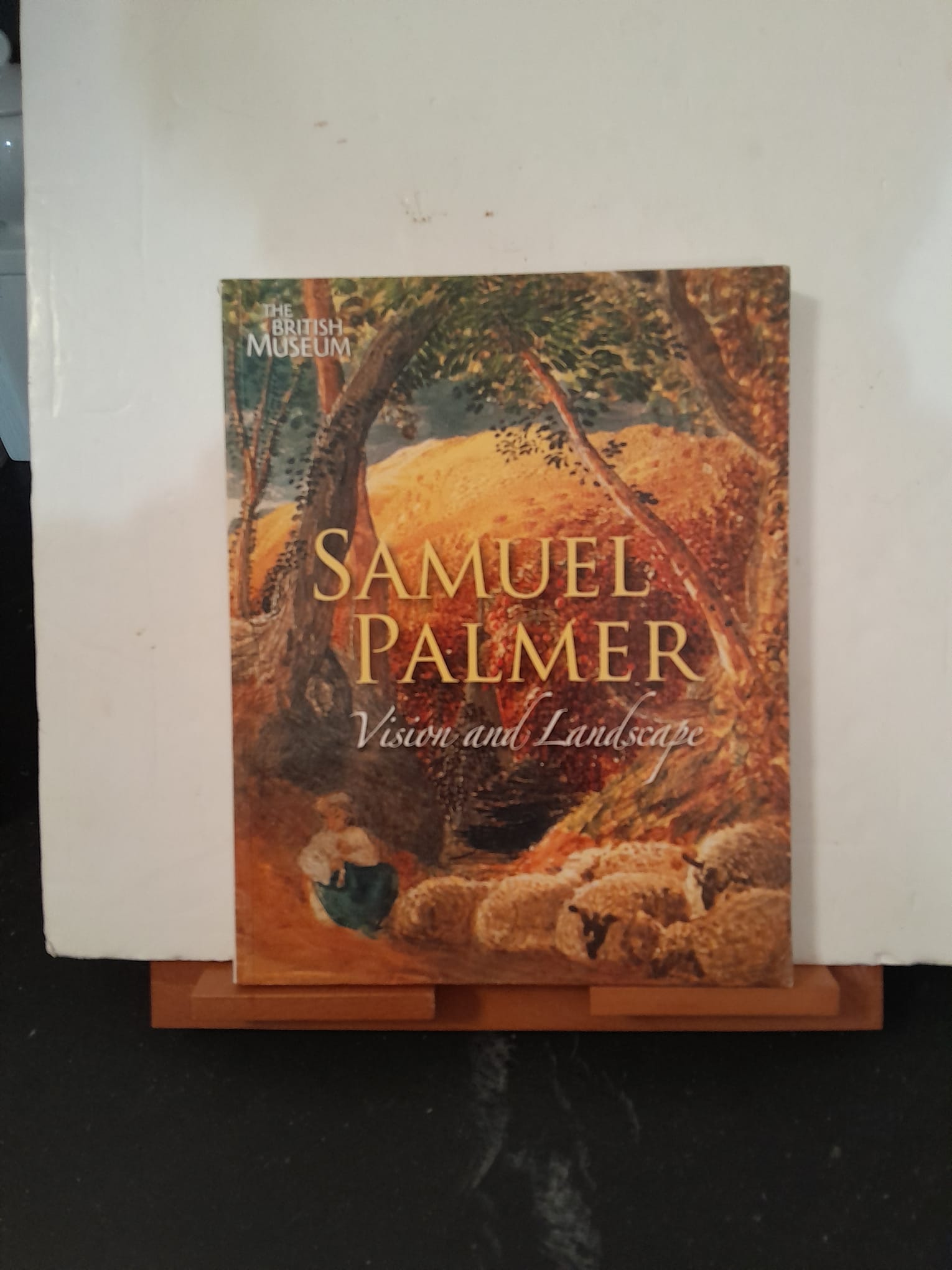 Samuel Palmer Vision and Landscape