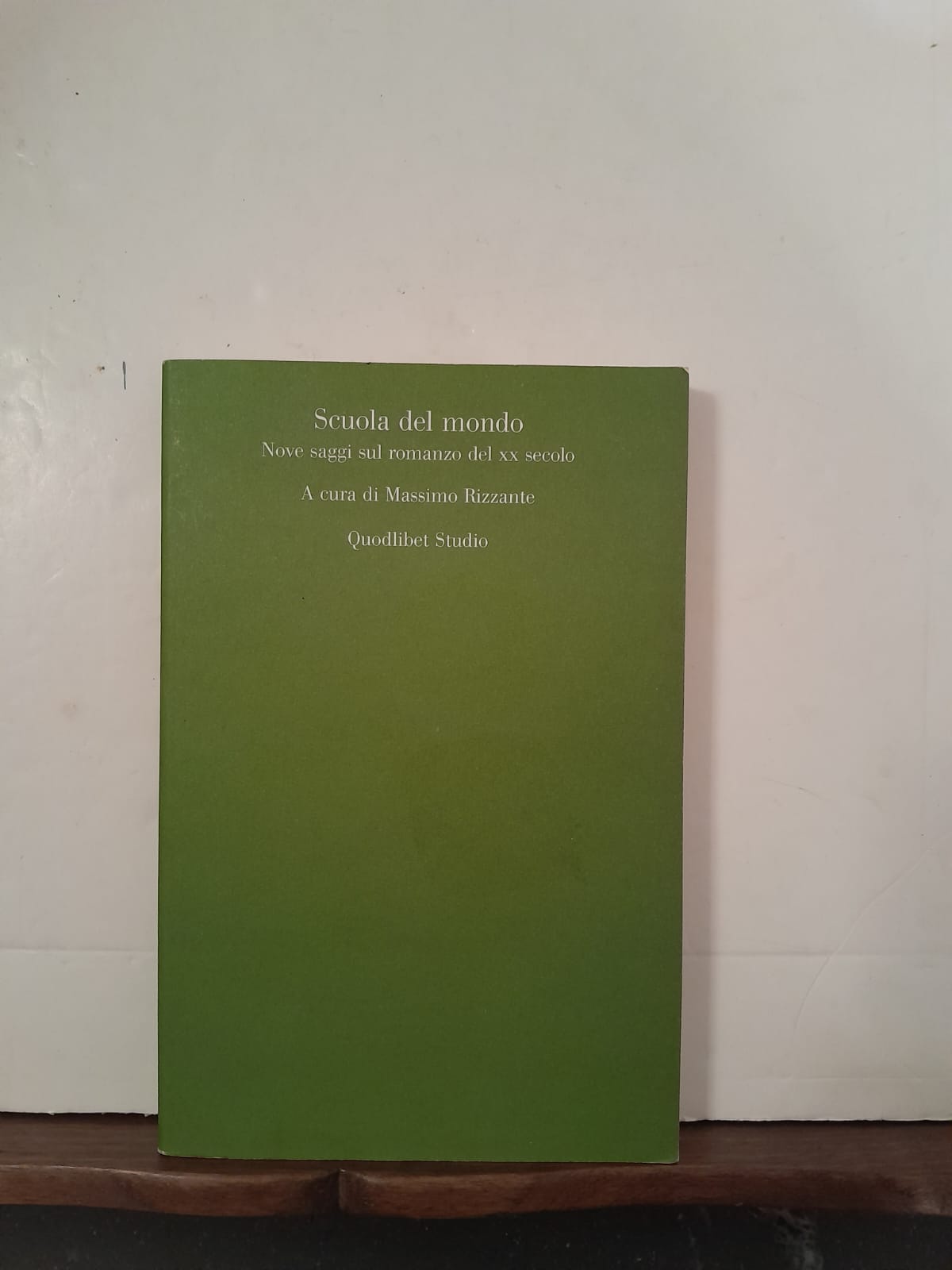 Scuola del mondo Nove saggi sul romanzo del XX secolo