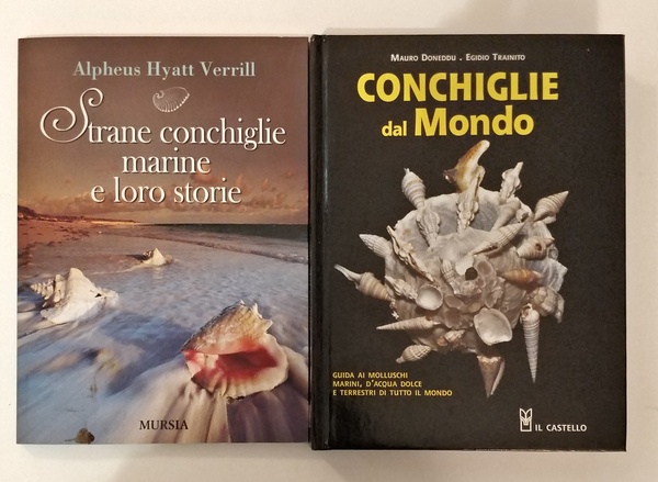 STRANE CONCHIGLIE MARINE E LORO STORIE - CONCHIGLIE DAL MONDO