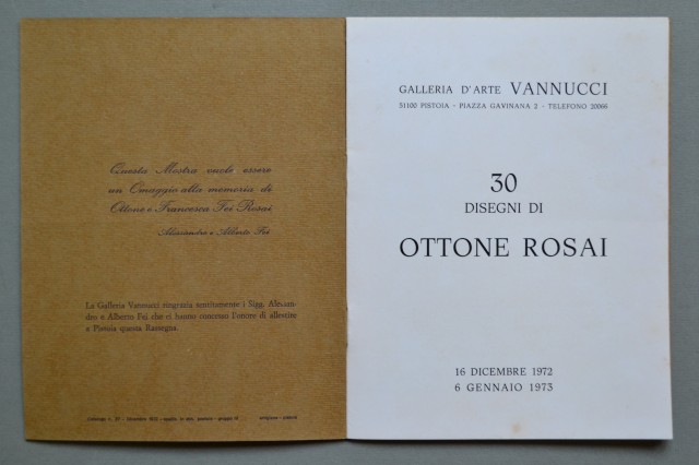 30 DISEGNI DI OTTONE ROSAI