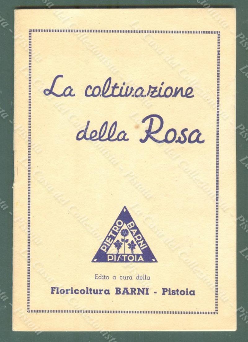 COLTIVAZIONE ROSA-PISTOIA. Opuscolo, edito dalla Floricoltura Barni, s.d. (anni &#39;50)