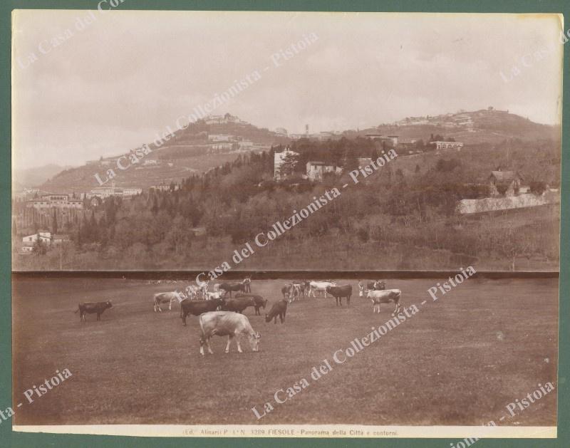 FIESOLE, Firenze. Panorama. Foto originale Alinari circa 1890